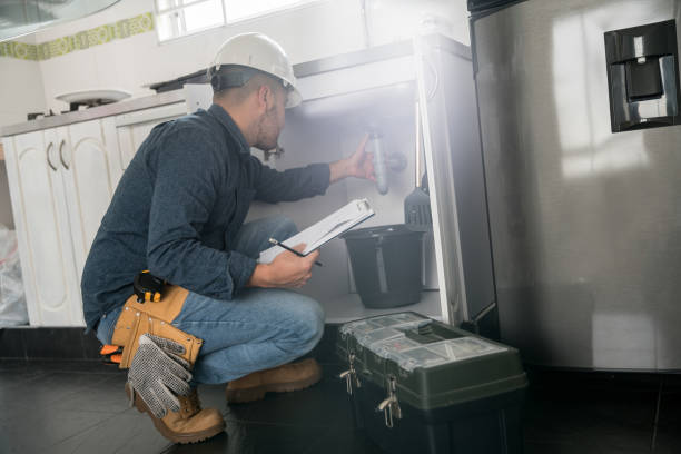 Best Local Plumber Services  in Nroe City, MO