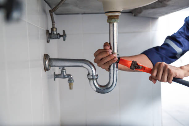 Best Clogged Drain Plumber  in Nroe City, MO